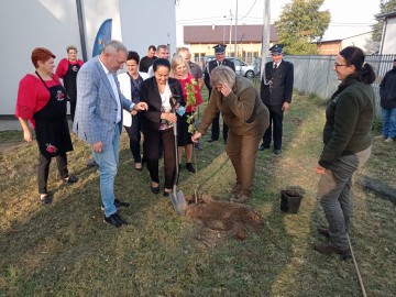 Kolejny sad tradycyjny w PKWŁ, Świetlica wiejska gm. Brzeziny 2.10.2021r. fot. KR.Sosnowska, 